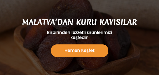 malatya kuru kayısı