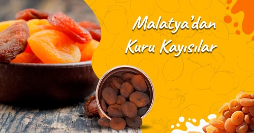 Malatya'dan Kuru Kayısılar