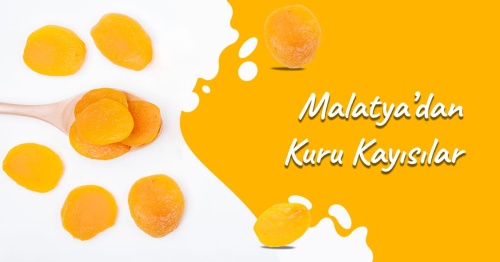 Malatya'dan Kuru Kayısılar