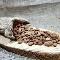 Acı Kayısı Çekirdeği