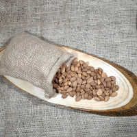 Acı Kayısı Çekirdeği