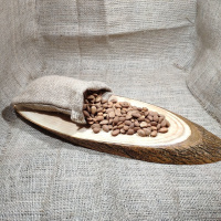 Acı Kayısı Çekirdeği