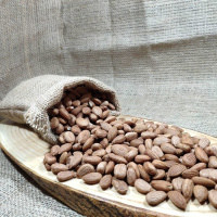 Gün Kurusu Kayısı Çekirdeği İçi