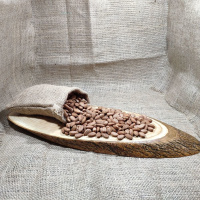 Gün Kurusu Kayısı Çekirdeği İçi