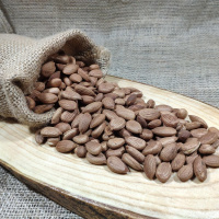 Gün Kurusu Kayısı Çekirdeği İçi Kavrulmuş