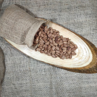 Gün Kurusu Kayısı Çekirdeği İçi Kavrulmuş