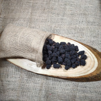 Malatya Kara Dut Kurusu