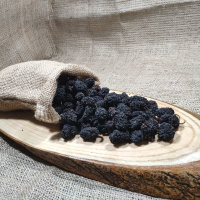 Malatya Kara Dut Kurusu