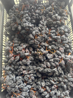 Malatya Salkım Üzüm Kurusu