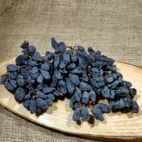 Malatya Salkım Üzüm Kurusu