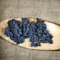 Malatya Salkım Üzüm Kurusu