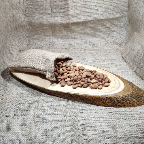 Acı Kayısı Çekirdeği